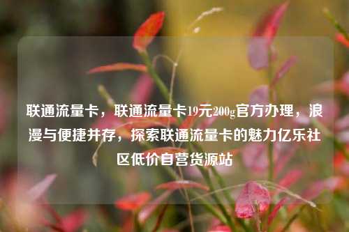联通流量卡，联通流量卡19元200g官方办理，浪漫与便捷并存	，探索联通流量卡的魅力亿乐社区低价自营货源站  第1张