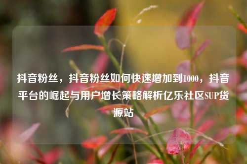 抖音粉丝，抖音粉丝如何快速增加到1000	，抖音平台的崛起与用户增长策略解析亿乐社区SUP货源站  第1张