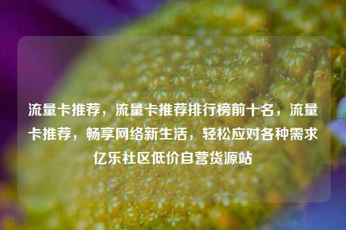 流量卡推荐，流量卡推荐排行榜前十名	，流量卡推荐，畅享网络新生活，轻松应对各种需求亿乐社区低价自营货源站  第1张