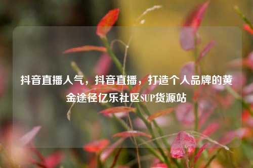 抖音直播人气，抖音直播	，打造个人品牌的黄金途径亿乐社区SUP货源站  第1张