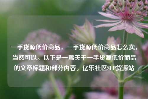 一手货源低价商品，一手货源低价商品怎么卖	，当然可以。以下是一篇关于一手货源低价商品的文章标题和部分内容	。亿乐社区SUP货源站  第1张