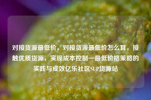 对接货源最低价，对接货源最低价怎么算，接触优质货源	，实现成本控制—最低价格策略的实践与成效亿乐社区SUP货源站  第1张