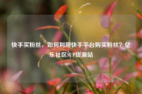 快手买粉丝，如何利用快手平台购买粉丝？亿乐社区SUP货源站  第1张