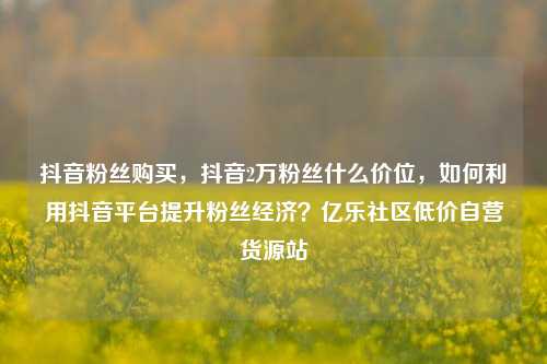 抖音粉丝购买，抖音2万粉丝什么价位，如何利用抖音平台提升粉丝经济？亿乐社区低价自营货源站  第1张