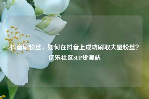 抖音刷粉丝，如何在抖音上成功刷取大量粉丝？亿乐社区SUP货源站  第1张