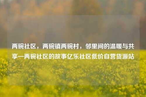 两碗社区，两碗镇两碗村	，邻里间的温暖与共享—两碗社区的故事亿乐社区低价自营货源站  第1张