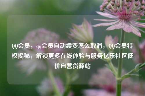 QQ会员，qq会员自动续费怎么取消	，QQ会员特权揭秘，解锁更多在线体验与服务亿乐社区低价自营货源站  第1张
