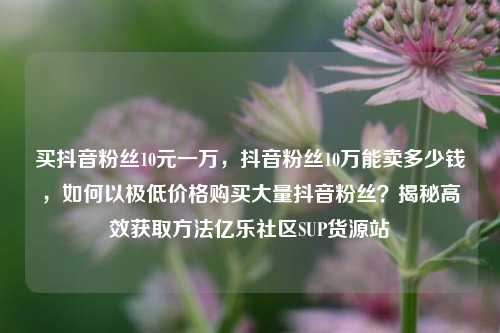 买抖音粉丝10元一万，抖音粉丝10万能卖多少钱	，如何以极低价格购买大量抖音粉丝？揭秘高效获取方法亿乐社区SUP货源站  第1张