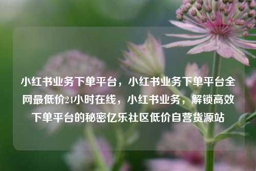 小红书业务下单平台，小红书业务下单平台全网最低价24小时在线，小红书业务	，解锁高效下单平台的秘密亿乐社区低价自营货源站  第1张