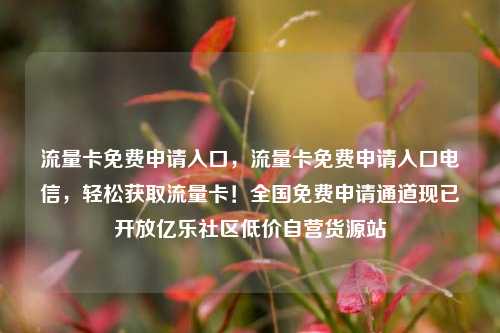 流量卡免费申请入口，流量卡免费申请入口电信，轻松获取流量卡！全国免费申请通道现已开放亿乐社区低价自营货源站  第1张