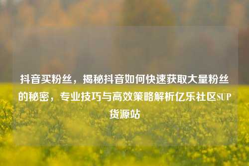 抖音买粉丝	，揭秘抖音如何快速获取大量粉丝的秘密，专业技巧与高效策略解析亿乐社区SUP货源站  第1张