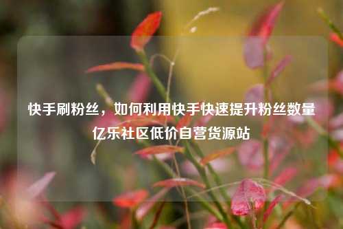 快手刷粉丝，如何利用快手快速提升粉丝数量亿乐社区低价自营货源站  第1张