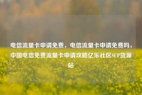 电信流量卡申请免费，电信流量卡申请免费吗，中国电信免费流量卡申请攻略亿乐社区SUP货源站  第1张