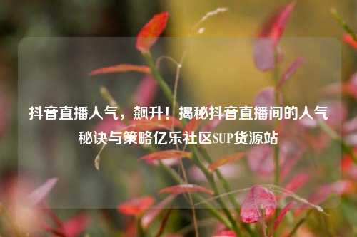 抖音直播人气，飙升！揭秘抖音直播间的人气秘诀与策略亿乐社区SUP货源站  第1张
