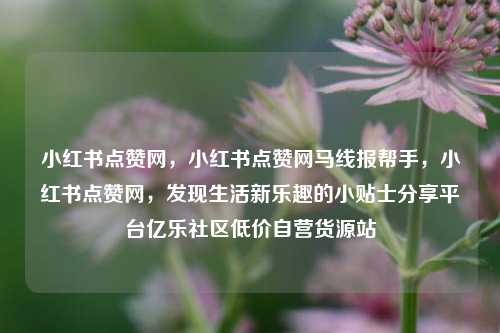 小红书点赞网	，小红书点赞网马线报帮手，小红书点赞网，发现生活新乐趣的小贴士分享平台亿乐社区低价自营货源站  第1张