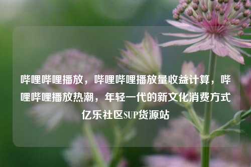 哔哩哔哩播放，哔哩哔哩播放量收益计算，哔哩哔哩播放热潮	，年轻一代的新文化消费方式亿乐社区SUP货源站  第1张