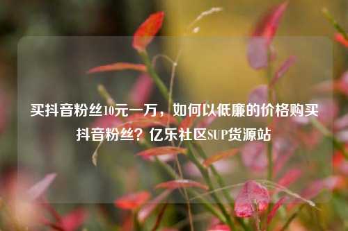 买抖音粉丝10元一万	，如何以低廉的价格购买抖音粉丝？亿乐社区SUP货源站  第1张