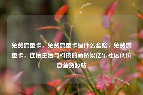 免费流量卡，免费流量卡是什么套路	，免费流量卡，连接生活与科技的新桥梁亿乐社区低价自营货源站  第1张