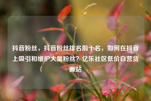 抖音粉丝	，抖音粉丝排名前十名，如何在抖音上吸引和维护大量粉丝？亿乐社区低价自营货源站  第1张