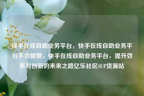快手在线自助业务平台	，快手在线自助业务平台不会掉赞，快手在线自助业务平台，提升效率与创新的未来之路亿乐社区SUP货源站  第1张