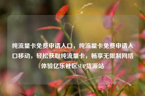 纯流量卡免费申请入口，纯流量卡免费申请入口移动，轻松获取纯流量卡	，畅享无限制网络体验亿乐社区SUP货源站  第1张