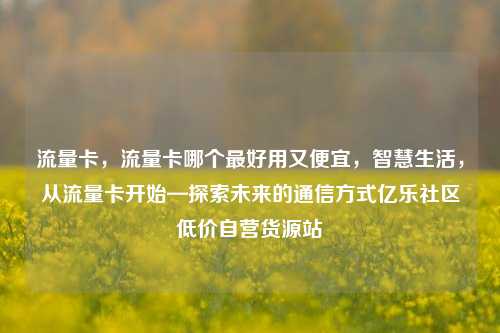 流量卡	，流量卡哪个最好用又便宜，智慧生活，从流量卡开始—探索未来的通信方式亿乐社区低价自营货源站  第1张