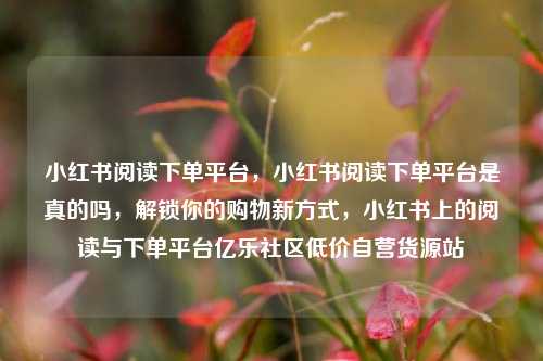 小红书阅读下单平台，小红书阅读下单平台是真的吗	，解锁你的购物新方式，小红书上的阅读与下单平台亿乐社区低价自营货源站  第1张