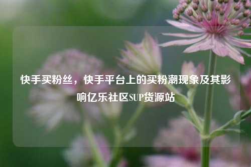 快手买粉丝，快手平台上的买粉潮现象及其影响亿乐社区SUP货源站  第1张