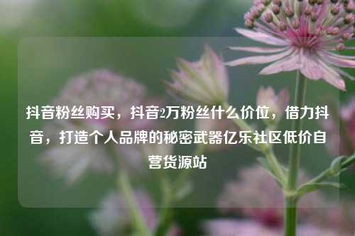 抖音粉丝购买，抖音2万粉丝什么价位，借力抖音	，打造个人品牌的秘密武器亿乐社区低价自营货源站  第1张