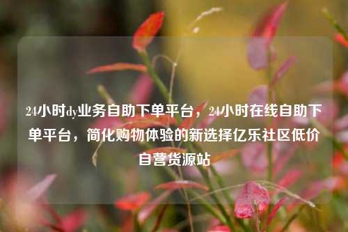 24小时dy业务自助下单平台，24小时在线自助下单平台，简化购物体验的新选择亿乐社区低价自营货源站  第1张