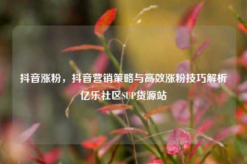 抖音涨粉	，抖音营销策略与高效涨粉技巧解析亿乐社区SUP货源站  第1张