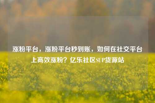 涨粉平台，涨粉平台秒到账	，如何在社交平台上高效涨粉？亿乐社区SUP货源站  第1张