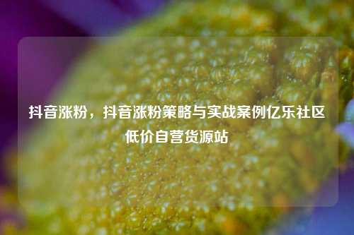 抖音涨粉	，抖音涨粉策略与实战案例亿乐社区低价自营货源站  第1张