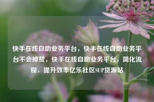 快手在线自助业务平台，快手在线自助业务平台不会掉赞，快手在线自助业务平台	，简化流程，提升效率亿乐社区SUP货源站  第1张
