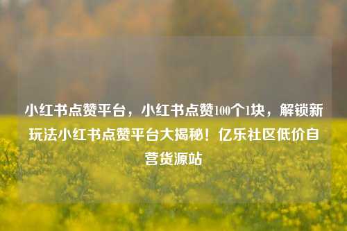 小红书点赞平台	，小红书点赞100个1块，解锁新玩法小红书点赞平台大揭秘！亿乐社区低价自营货源站  第1张