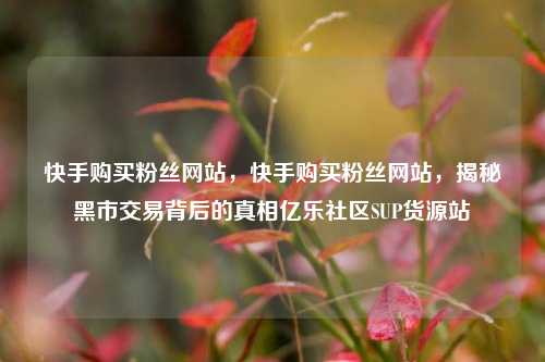 快手购买粉丝网站，快手购买粉丝网站，揭秘黑市交易背后的真相亿乐社区SUP货源站  第1张