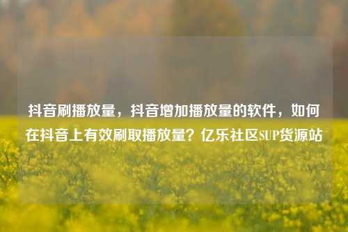 抖音刷播放量	，抖音增加播放量的软件，如何在抖音上有效刷取播放量？亿乐社区SUP货源站  第1张