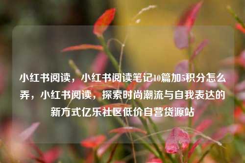 小红书阅读，小红书阅读笔记10篇加5积分怎么弄，小红书阅读	，探索时尚潮流与自我表达的新方式亿乐社区低价自营货源站  第1张