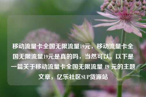 移动流量卡全国无限流量19元	，移动流量卡全国无限流量19元是真的吗，当然可以。以下是一篇关于移动流量卡全国无限流量 19 元的主题文章，亿乐社区SUP货源站  第1张