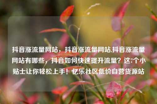 抖音涨流量网站，抖音涨流量网站,抖音涨流量网站有哪些	，抖音如何快速提升流量？这7个小贴士让你轻松上手！亿乐社区低价自营货源站  第1张