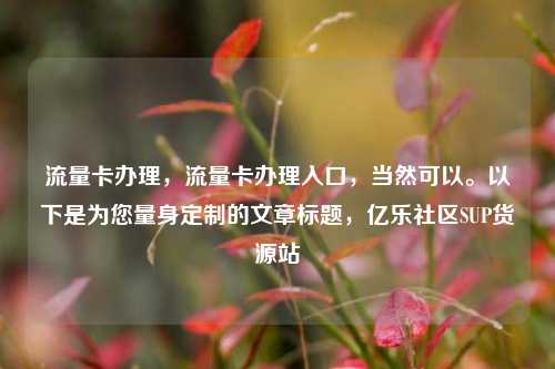 流量卡办理	，流量卡办理入口，当然可以。以下是为您量身定制的文章标题，亿乐社区SUP货源站  第1张