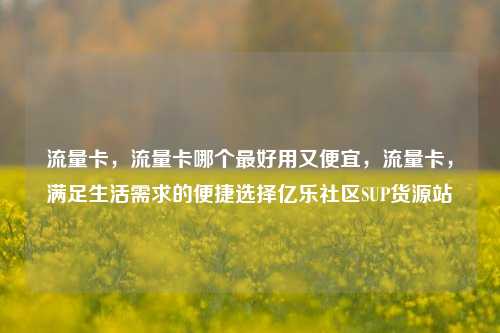 流量卡，流量卡哪个最好用又便宜，流量卡	，满足生活需求的便捷选择亿乐社区SUP货源站  第1张