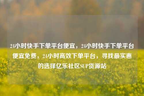 24小时快手下单平台便宜，24小时快手下单平台便宜免费	，24小时高效下单平台，寻找最实惠的选择亿乐社区SUP货源站  第1张