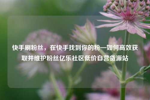 快手刷粉丝，在快手找到你的粉—如何高效获取并维护粉丝亿乐社区低价自营货源站  第1张