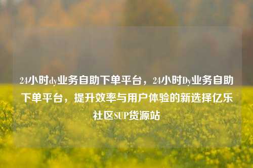 24小时dy业务自助下单平台，24小时Dy业务自助下单平台	，提升效率与用户体验的新选择亿乐社区SUP货源站  第1张