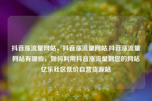 抖音涨流量网站，抖音涨流量网站,抖音涨流量网站有哪些，如何利用抖音涨流量到您的网站亿乐社区低价自营货源站  第1张