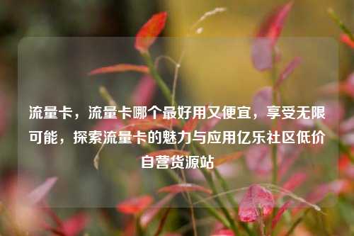 流量卡，流量卡哪个最好用又便宜，享受无限可能	，探索流量卡的魅力与应用亿乐社区低价自营货源站  第1张
