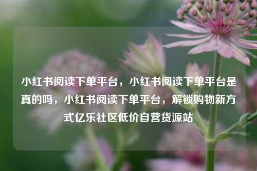 小红书阅读下单平台，小红书阅读下单平台是真的吗，小红书阅读下单平台	，解锁购物新方式亿乐社区低价自营货源站  第1张