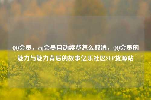 QQ会员，qq会员自动续费怎么取消，QQ会员的魅力与魅力背后的故事亿乐社区SUP货源站  第1张
