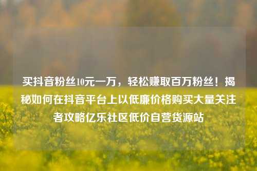 买抖音粉丝10元一万，轻松赚取百万粉丝！揭秘如何在抖音平台上以低廉价格购买大量关注者攻略亿乐社区低价自营货源站  第1张